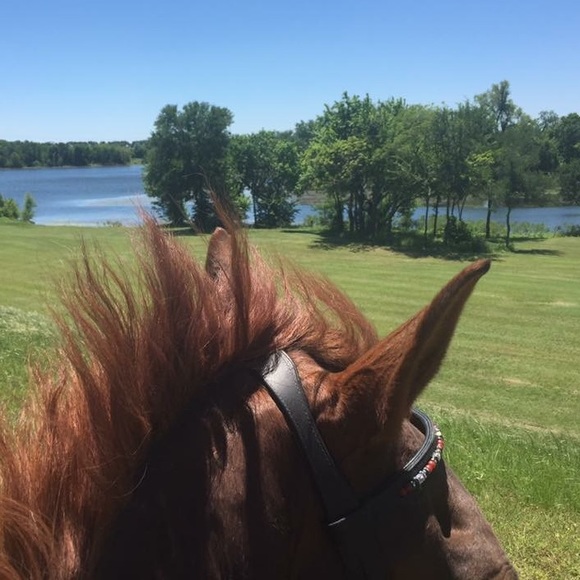 Meet your Posher, Jodie - Picture 7 of 8